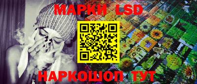 шишки Можга