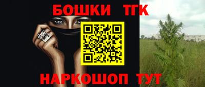мет Моздок
