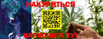 шишки Можга