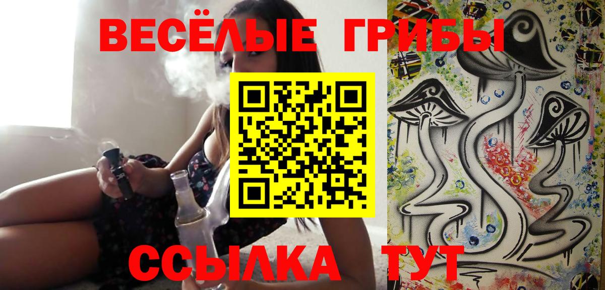 Псилоцибиновые грибы Psilocybine cubensis Фрязино